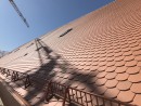 IMG_2710